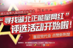 网红入选,盘点入选热门榜单的璀璨新星