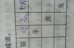 羊字开头的成语,描绘羊的智慧与寓意